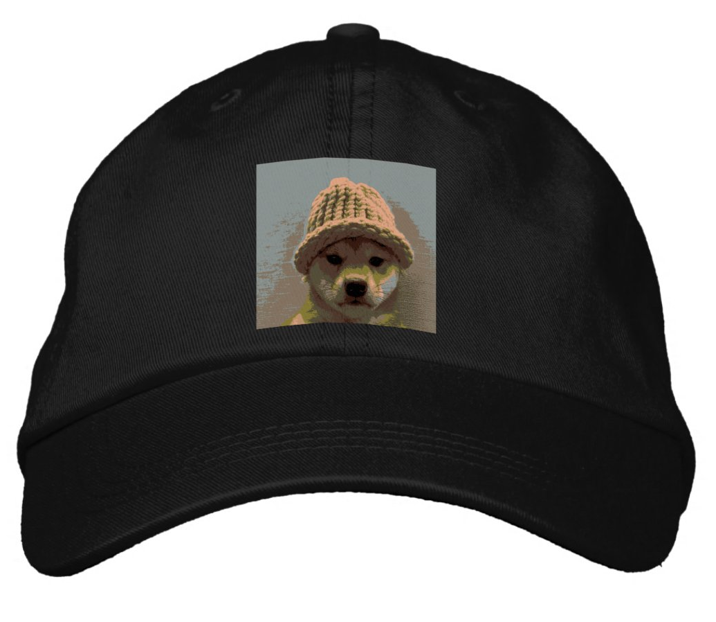 DOG WIFHAT BASEBALL HAT