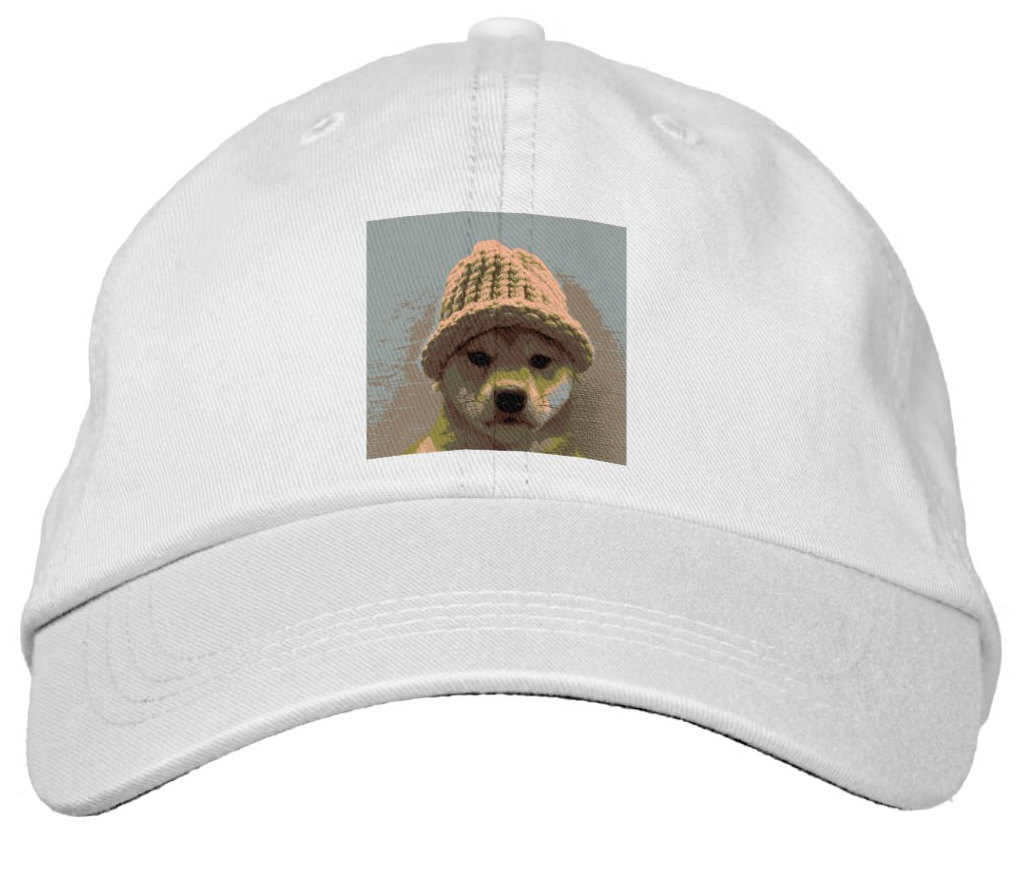 DOG WIFHAT BASEBALL HAT