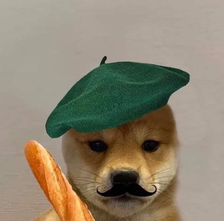 LITERALLY, A BAGUETTE